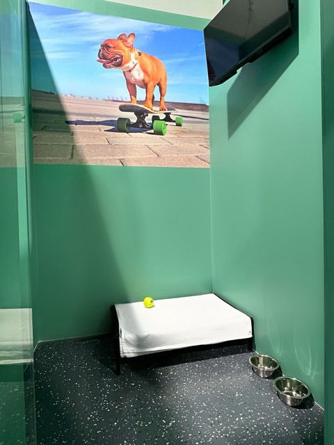 The Petite Suite Pet Room