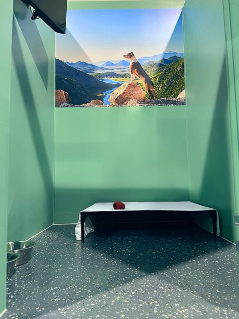 The Retreat Pet Room